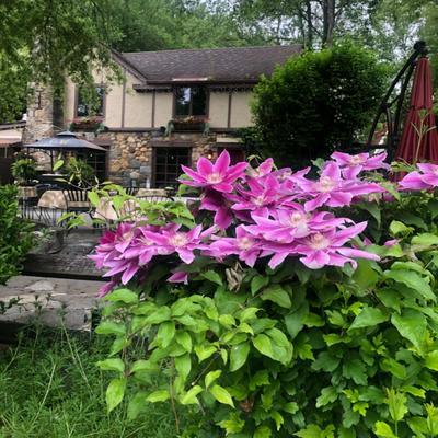 gallery photo number 34