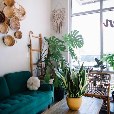 Interior with green velvet sofa, a wooden coffee table and a wicker chair.