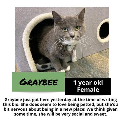 gallery photo number 13