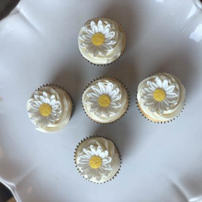 gallery photo number 64