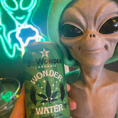 gallery photo number 15