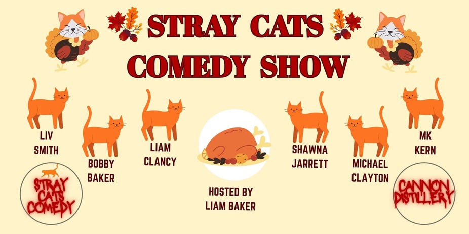 Stray Cats Comedy event photo