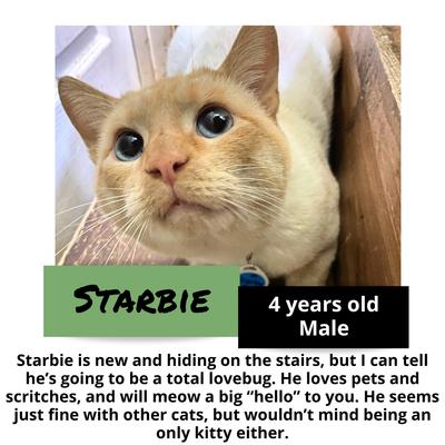 gallery photo number 3