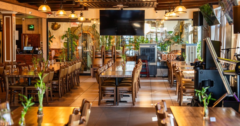 Interior, tables and chairs all lined up