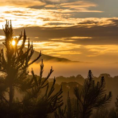 event calendar flyer 2