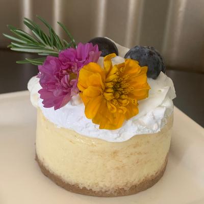 gallery photo number 20