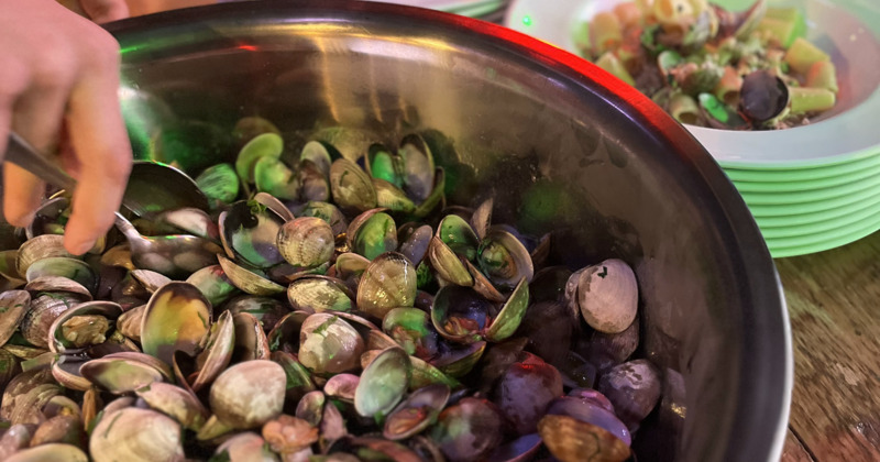 Clam platter with served clams and pasta on plates