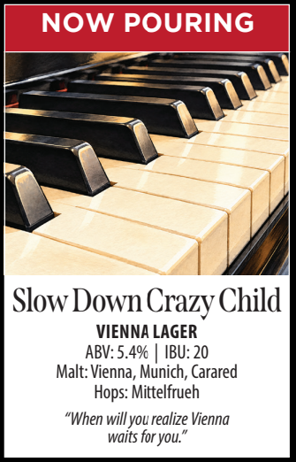 Slow Down Crazy Child photo