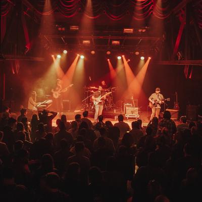 gallery photo number 176