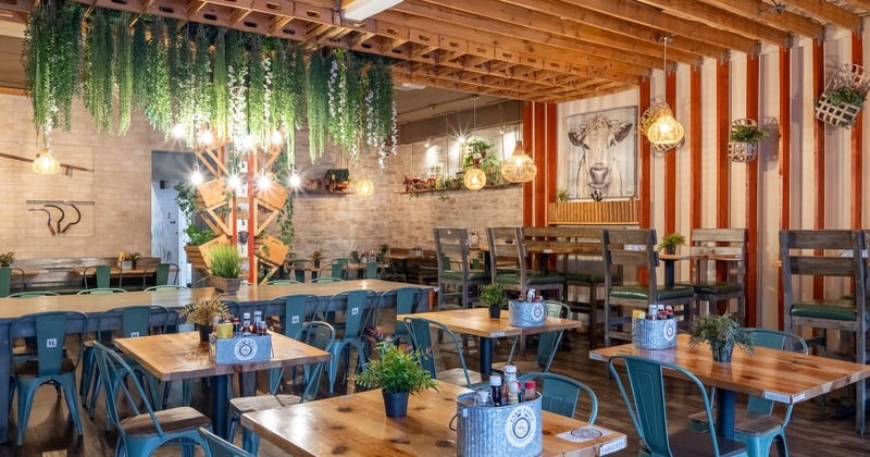 Interior, main dining area