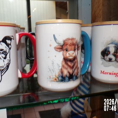 gallery photo number 12