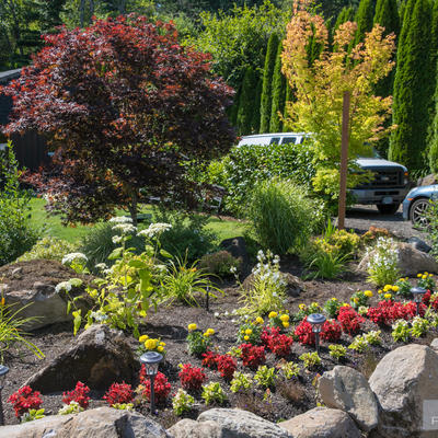 Back door garden with part of the parking area