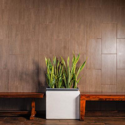 gallery photo number 220