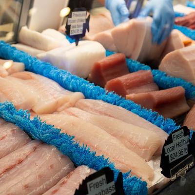 Fish market, display case with fresh seafood.