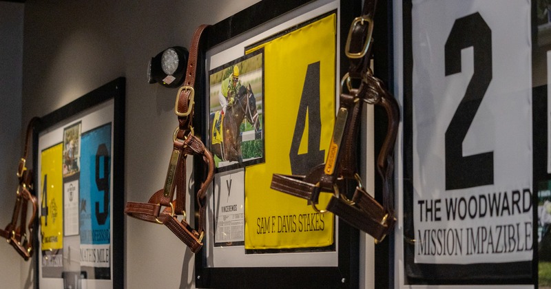 Details from the wall of restaurant