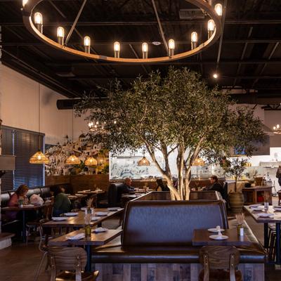 Dining area, tables set for dining, a fireplace and an olive tree in the middle of the room.