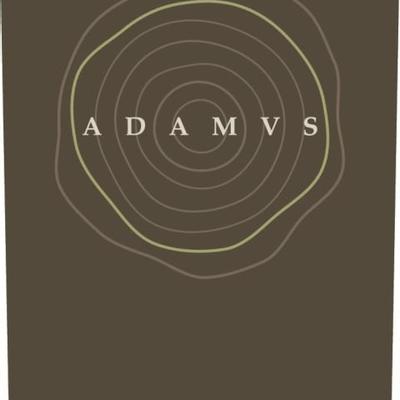 gallery photo number 38