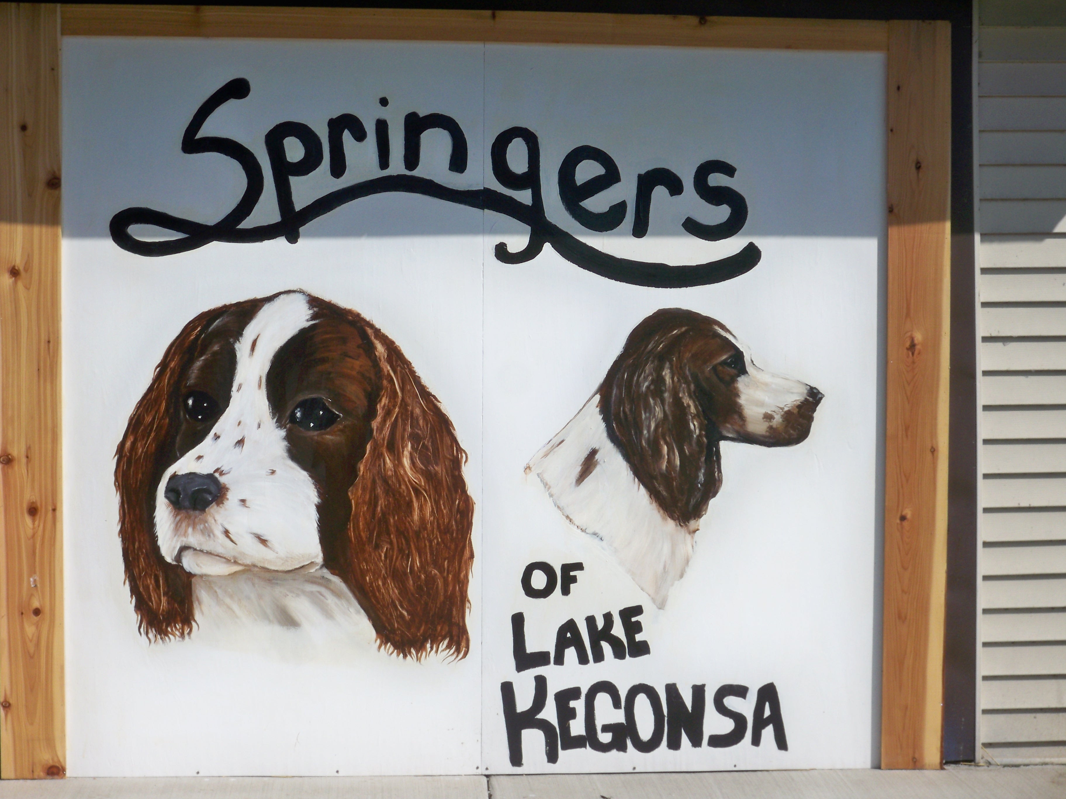 Springers Lake Kegonsa, Stoughton, WI