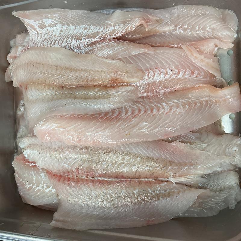 Fluke Flounder photo
