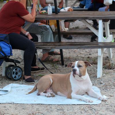 gallery photo number 18