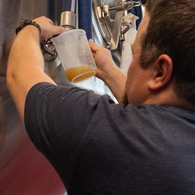 Brewery worker taking a sample from a stainless brewing tank using a measuring cup.