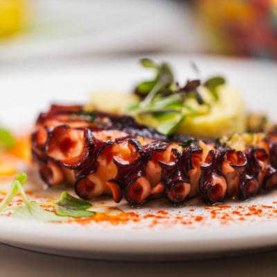 Grilled octopus with creamy polenta , close up.