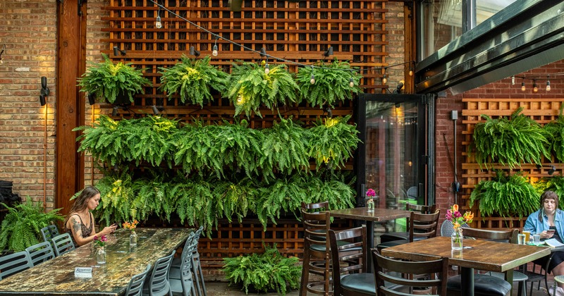 Interior dining area, green plants on the wall