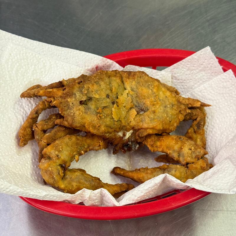 Softshell Crab photo