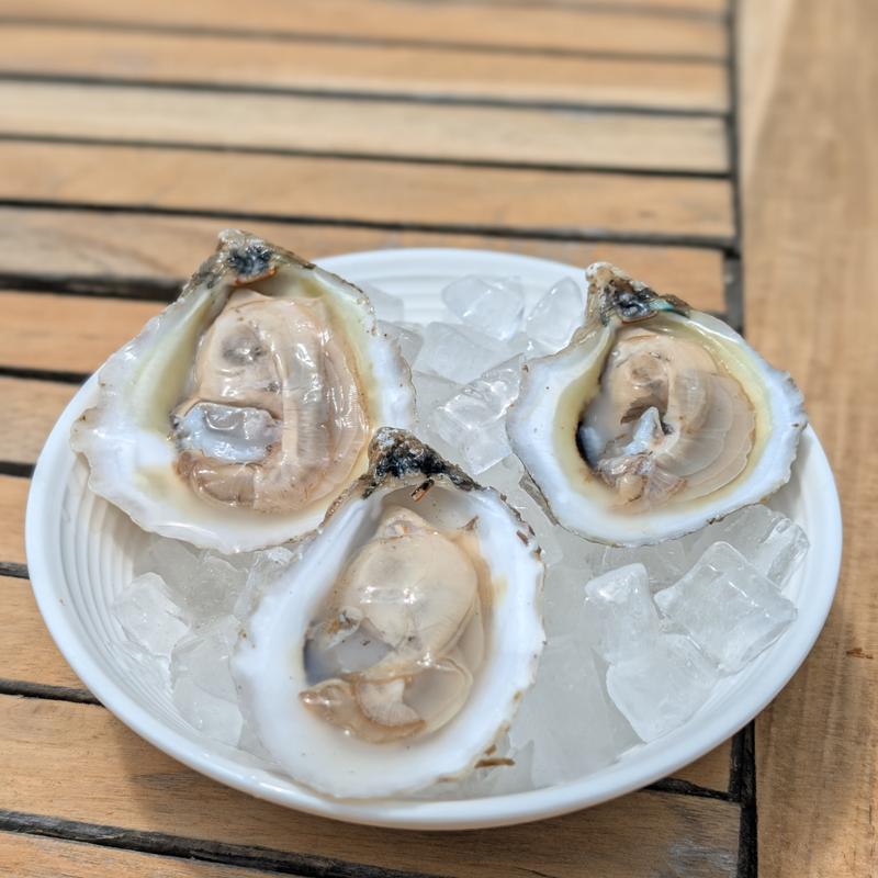 Rotating Oysters on the Half Shell Selection* photo