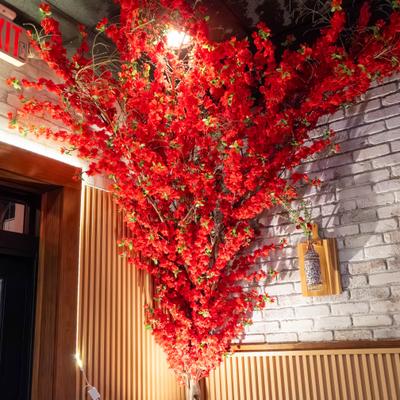 gallery photo number 30