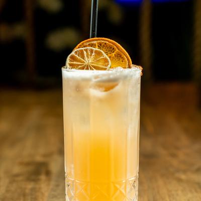 Spicy Paloma cocktail garnished with dried citrus wheels.