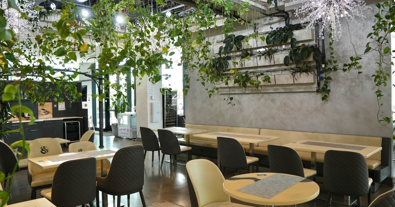 Modern dining area with hanging plants and vertical wall garden