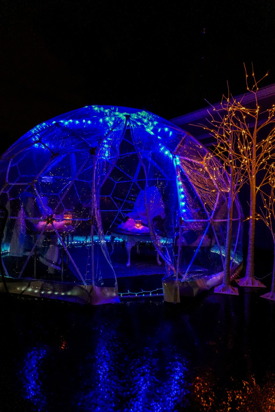 Private Arctic Aurora Igloos event photo