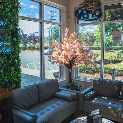 Bright cafe lounge area with sofas and cherry blossom tree decoration near large windows.