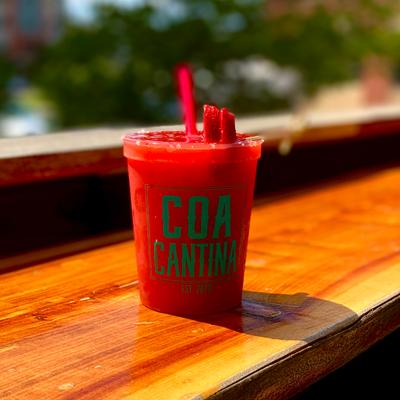 gallery photo number 80