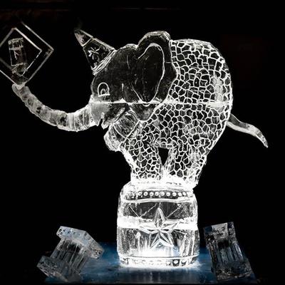 gallery photo number 7