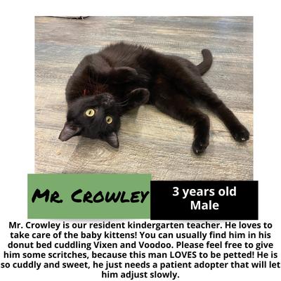 gallery photo number 13