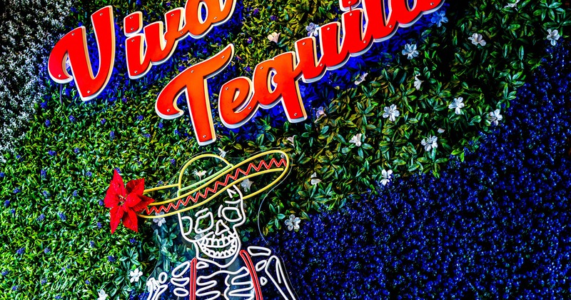 Artificial green wall with neon signage