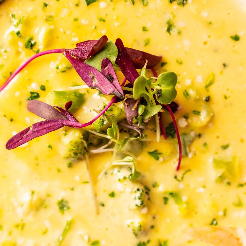 Brocooli Cheese Soup photo