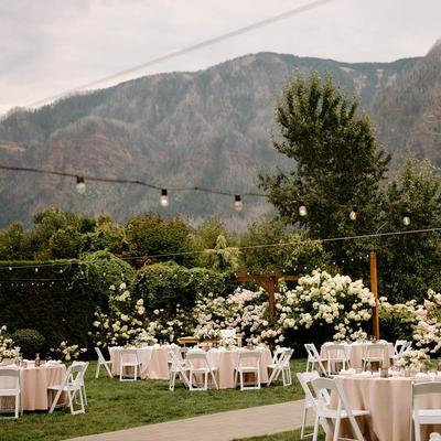 gallery photo number 372