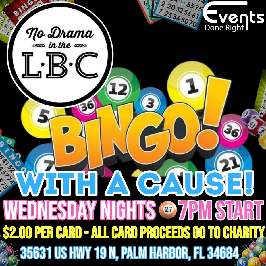 Bingo With a Cause event photo
