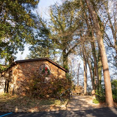 gallery photo number 47