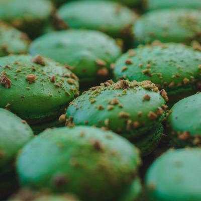 gallery photo number 81