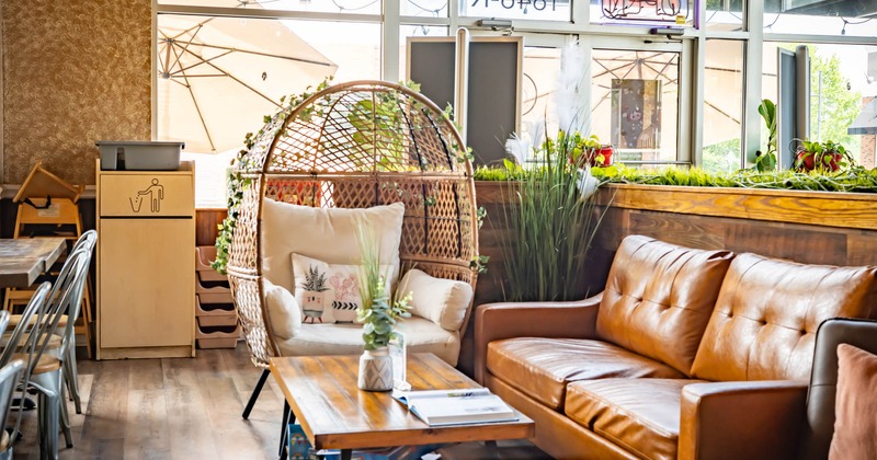 Interior, cozy area with couches and flower decorations