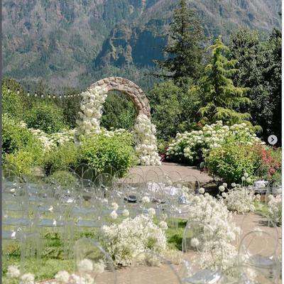 gallery photo number 369