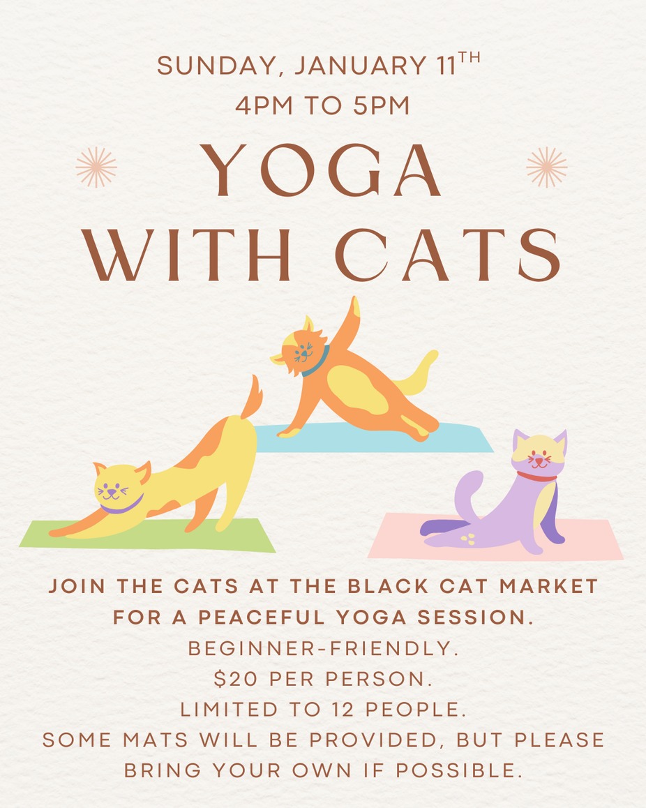 Yoga with Cats - Jan 11th event photo