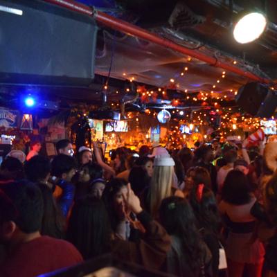 gallery photo number 437