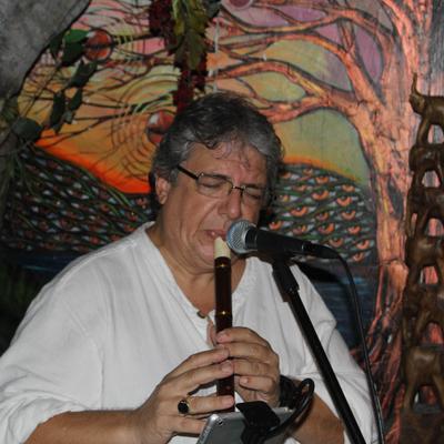 A musician during a performance on the stage.