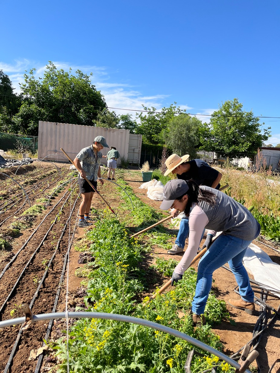 Monthly Community Garden Volunteer Day event photo