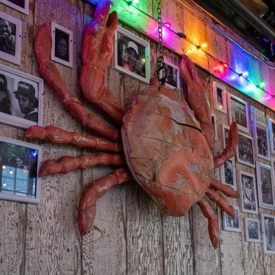Original piece of wall decor.  It is a large crab surrounded by photos of restaurant friends and family.